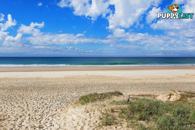 1313/10 Fifth Avenue PALM BEACH QLD 4221