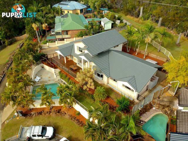 19 Correa Court ELANORA QLD 4221