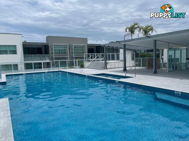 2213/10 Fifth Avenue PALM BEACH QLD 4221