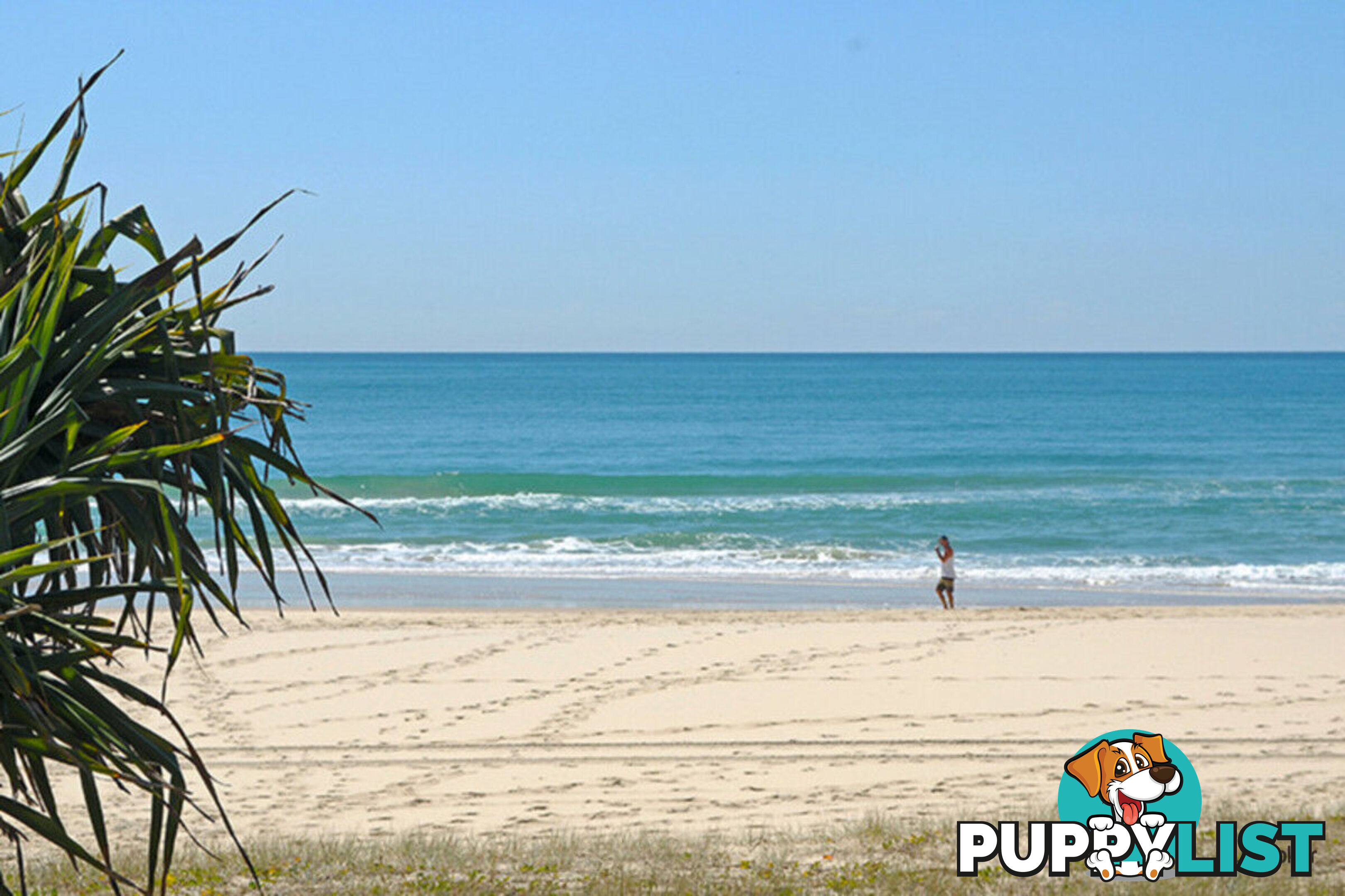 6/7-9 Teemangum Street TUGUN QLD 4224