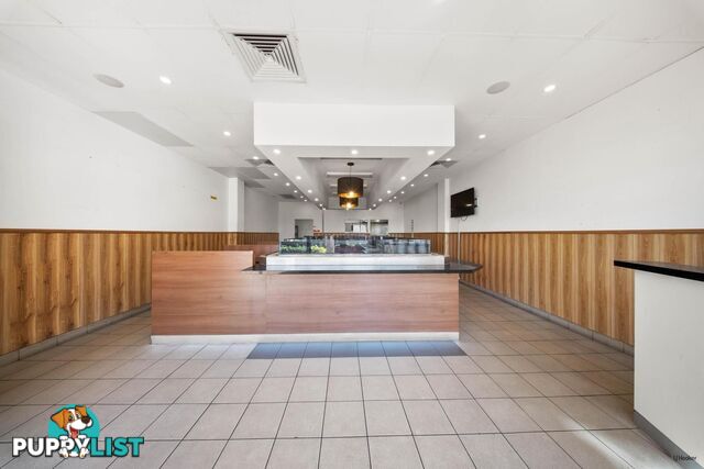 2/1172 Gold Coast Highway PALM BEACH QLD 4221
