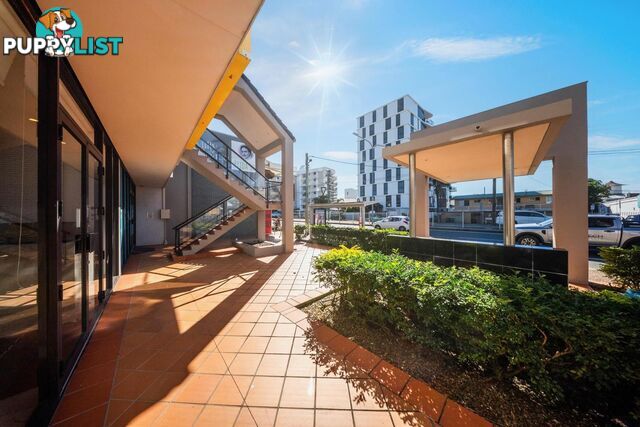 2/1172 Gold Coast Highway PALM BEACH QLD 4221