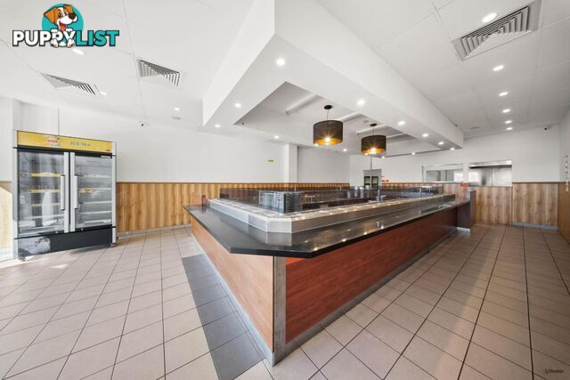 2/1172 Gold Coast Highway PALM BEACH QLD 4221
