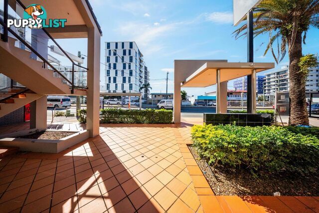 2/1172 Gold Coast Highway PALM BEACH QLD 4221