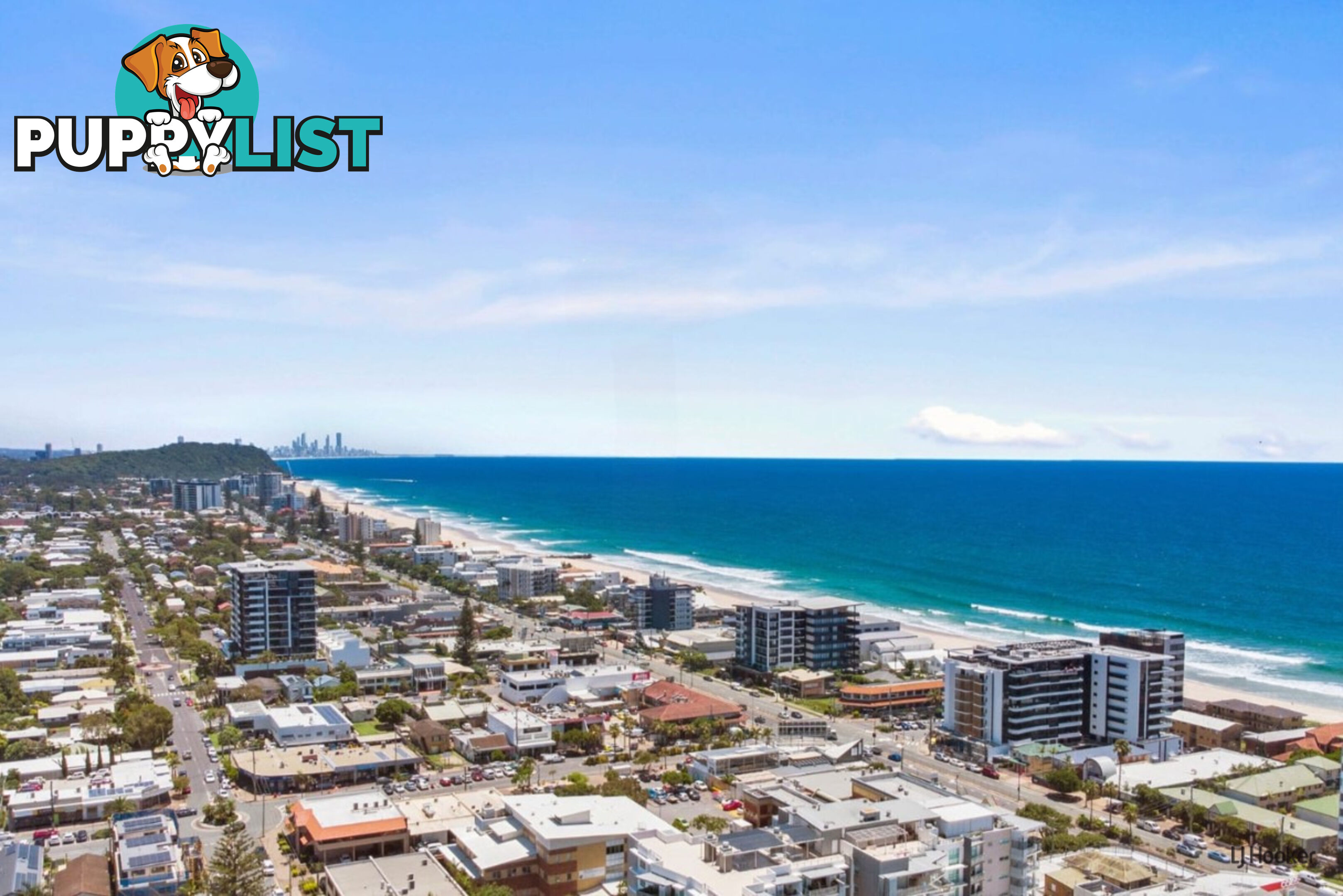 2/1172 Gold Coast Highway PALM BEACH QLD 4221