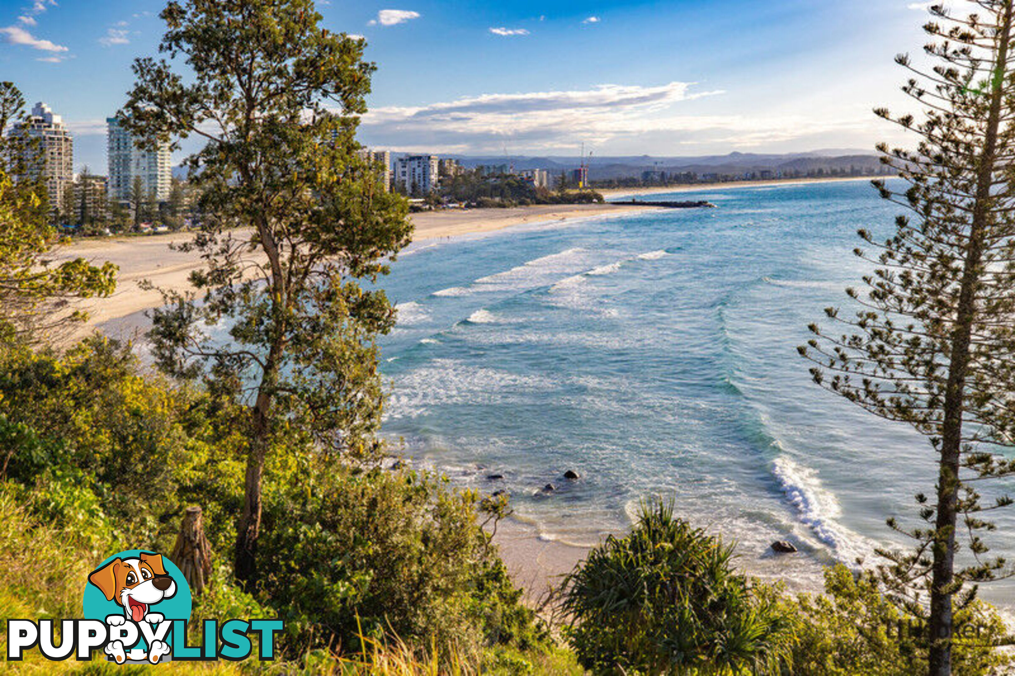 5/45 McLean Street COOLANGATTA QLD 4225