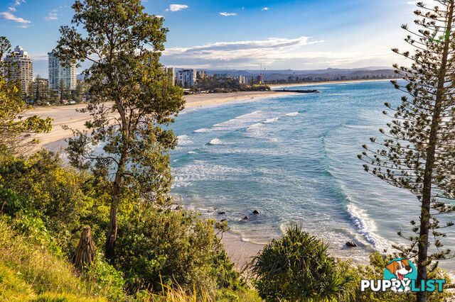5/45 McLean Street COOLANGATTA QLD 4225