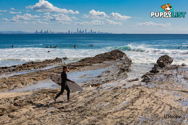 5/45 McLean Street COOLANGATTA QLD 4225