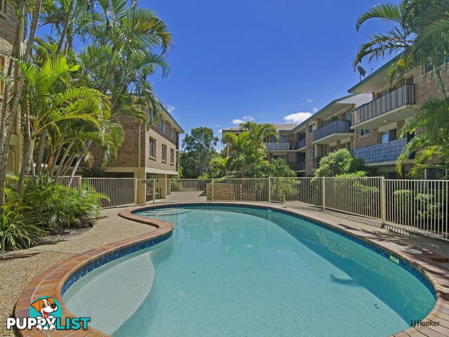 8/1 Rolan Court PALM BEACH QLD 4221