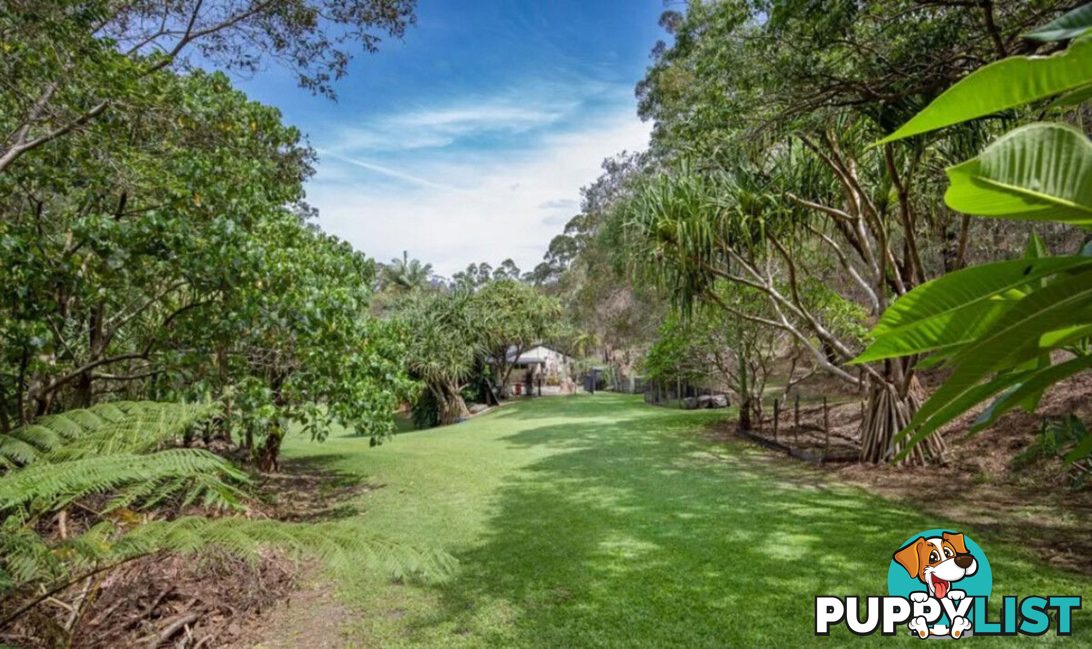 129 Monday Drive TALLEBUDGERA VALLEY QLD 4228