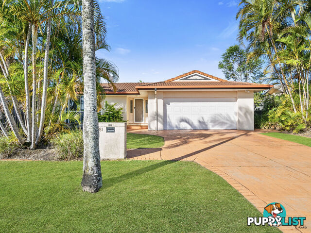 81 Dipper Drive BURLEIGH HEADS QLD 4220