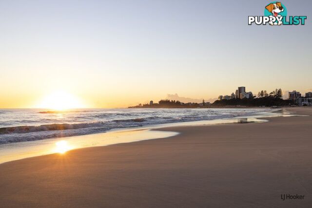 2/129-131 Musgrave Street COOLANGATTA QLD 4225