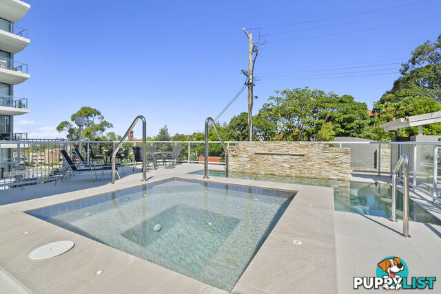2/129-131 Musgrave Street COOLANGATTA QLD 4225
