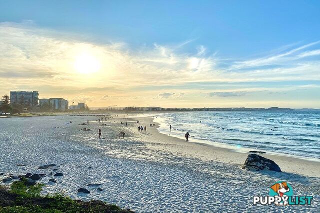 2/129-131 Musgrave Street COOLANGATTA QLD 4225