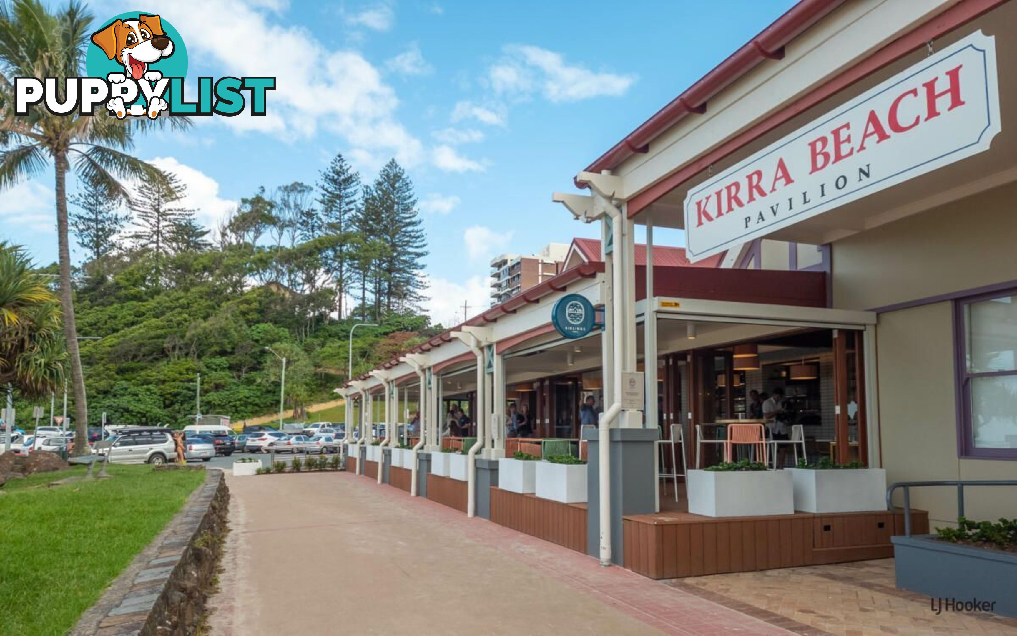 2/129-131 Musgrave Street COOLANGATTA QLD 4225
