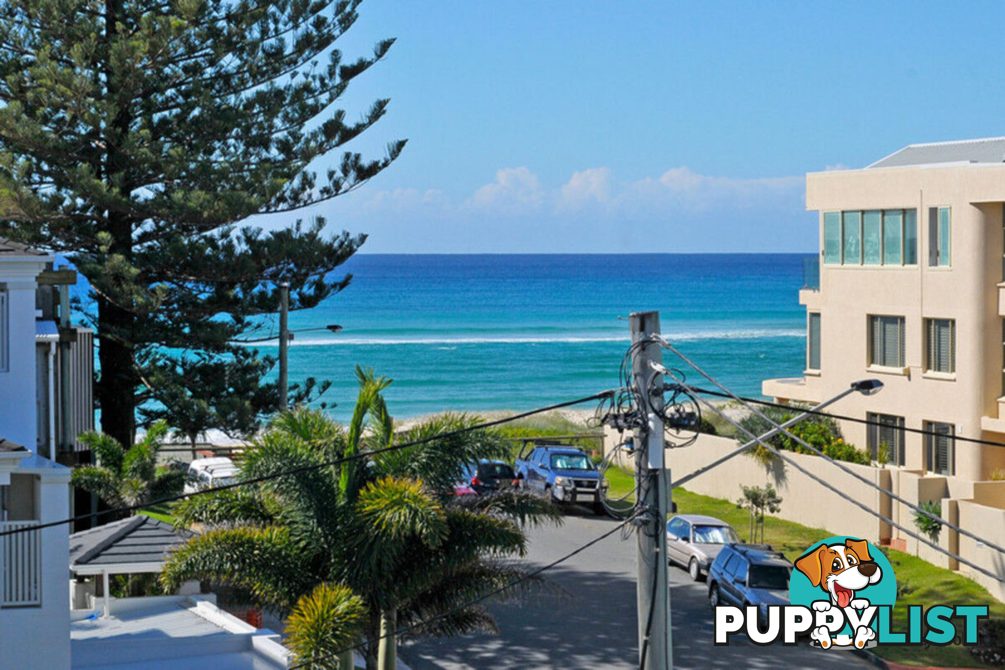 13/1031 Gold Coast Highway PALM BEACH QLD 4221