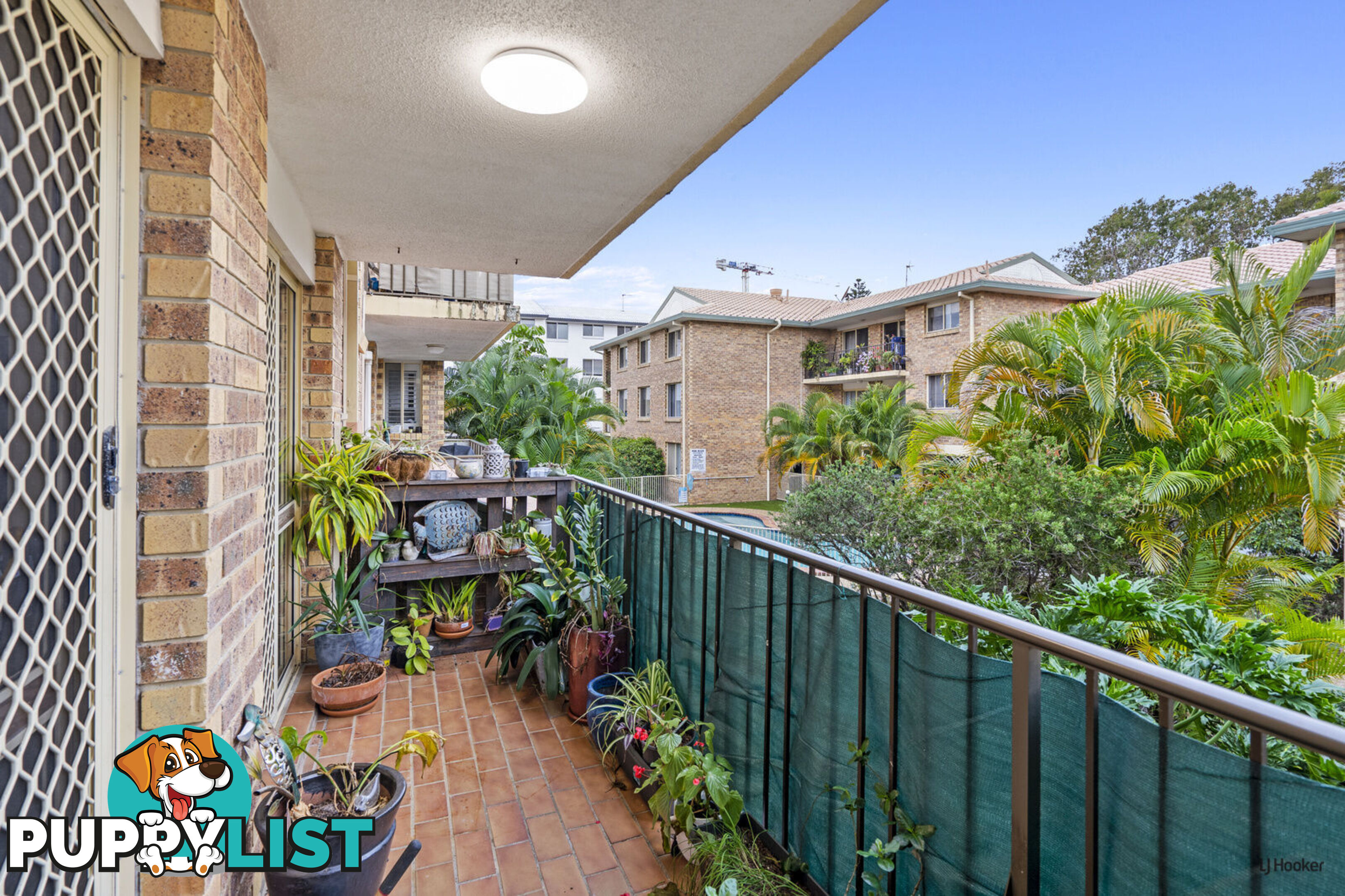 20/1 Rolan Court PALM BEACH QLD 4221