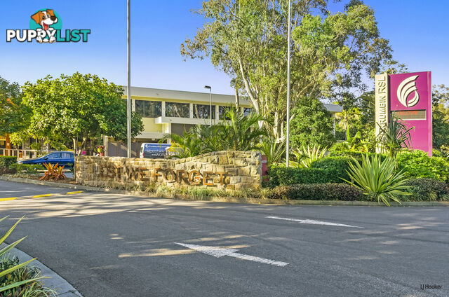 1/14 Dandaloo Drive CURRUMBIN QLD 4223