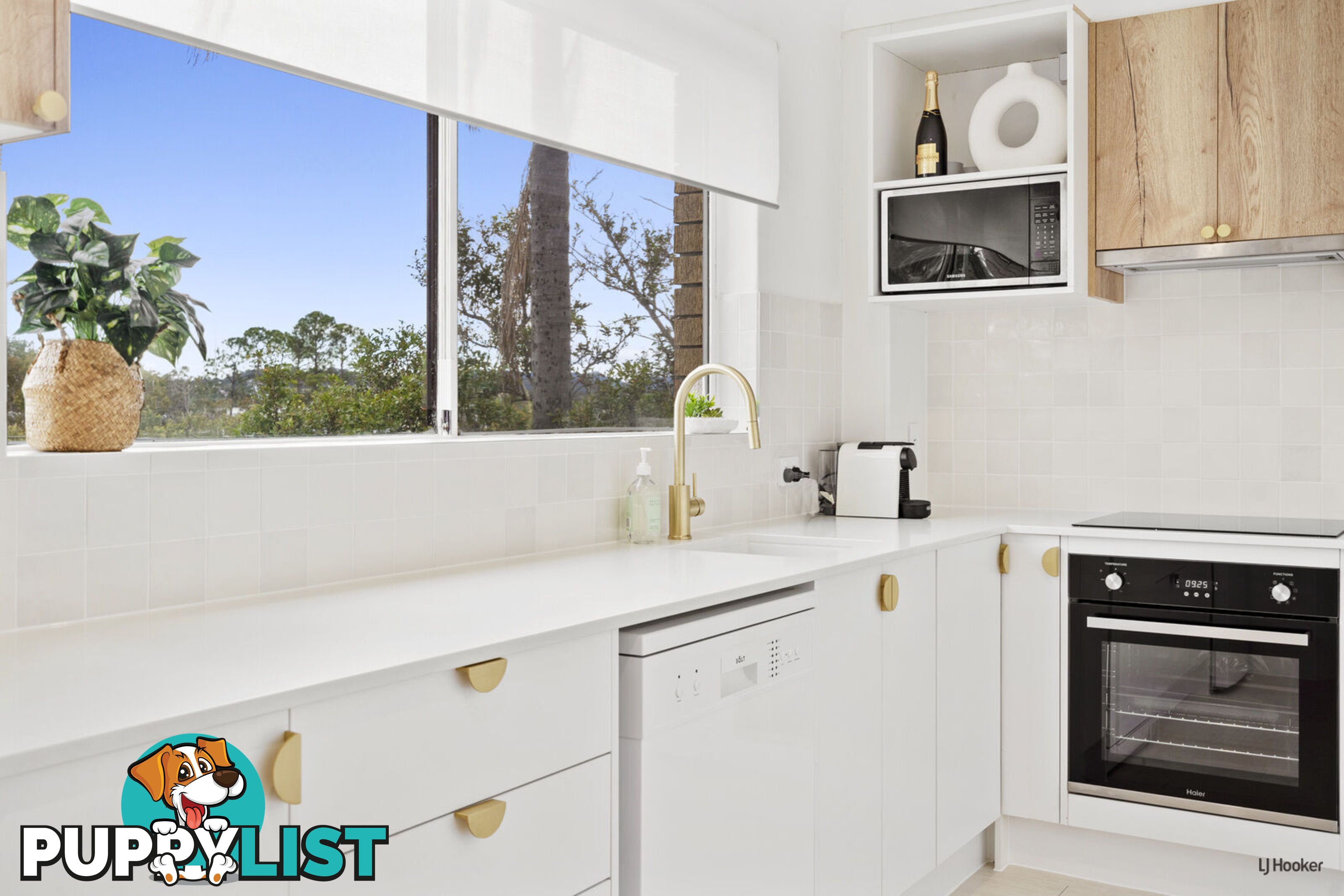 11/3 Lind Avenue PALM BEACH QLD 4221