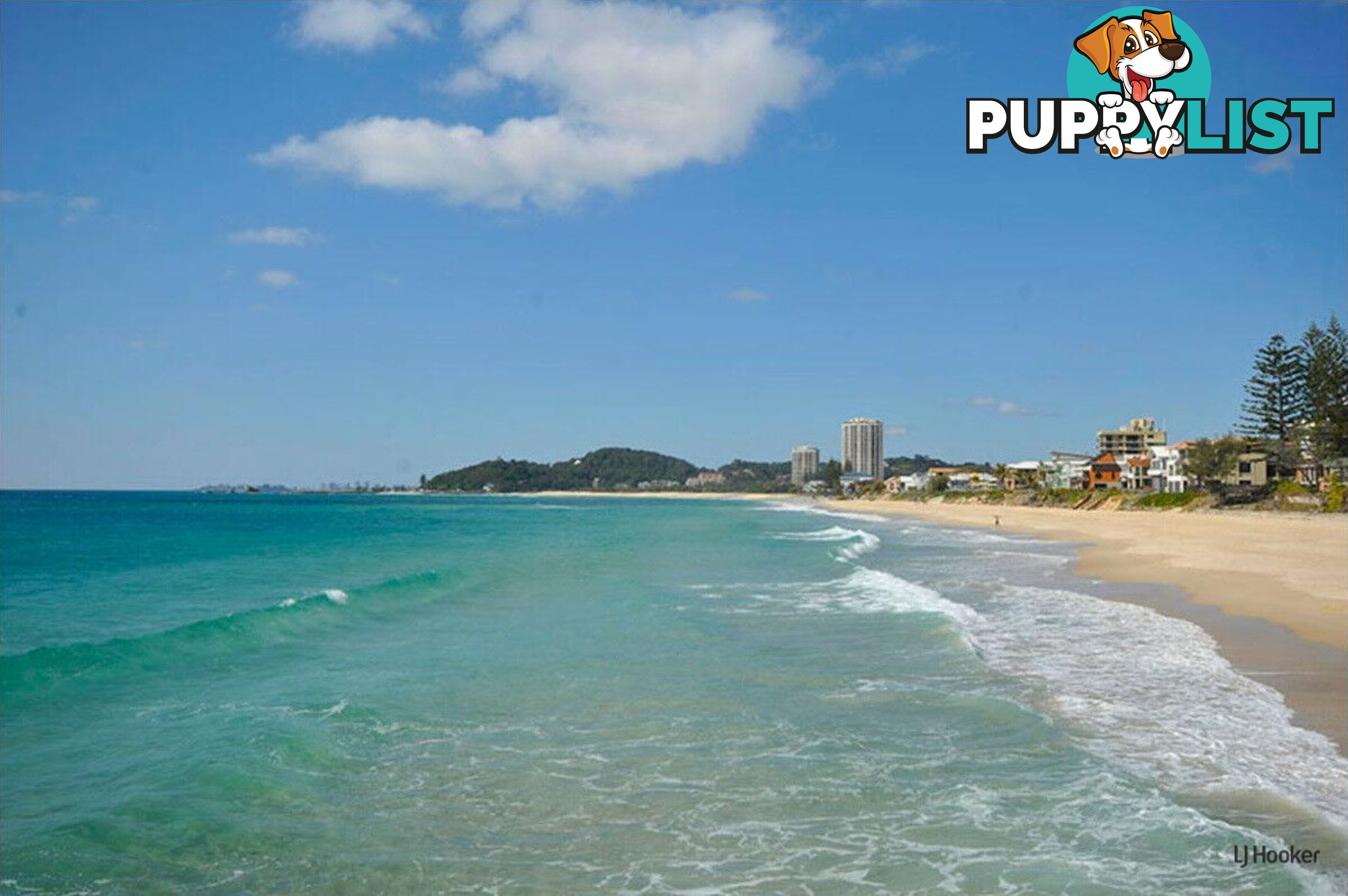 6/1396 Gold Coast Highway PALM BEACH QLD 4221