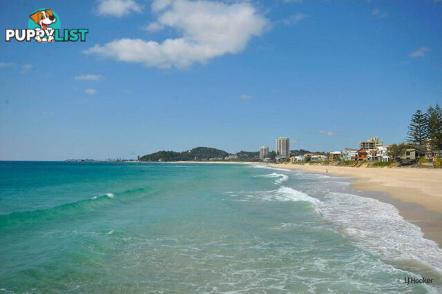 6/1396 Gold Coast Highway PALM BEACH QLD 4221