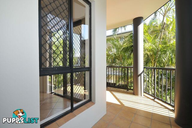 6/1396 Gold Coast Highway PALM BEACH QLD 4221