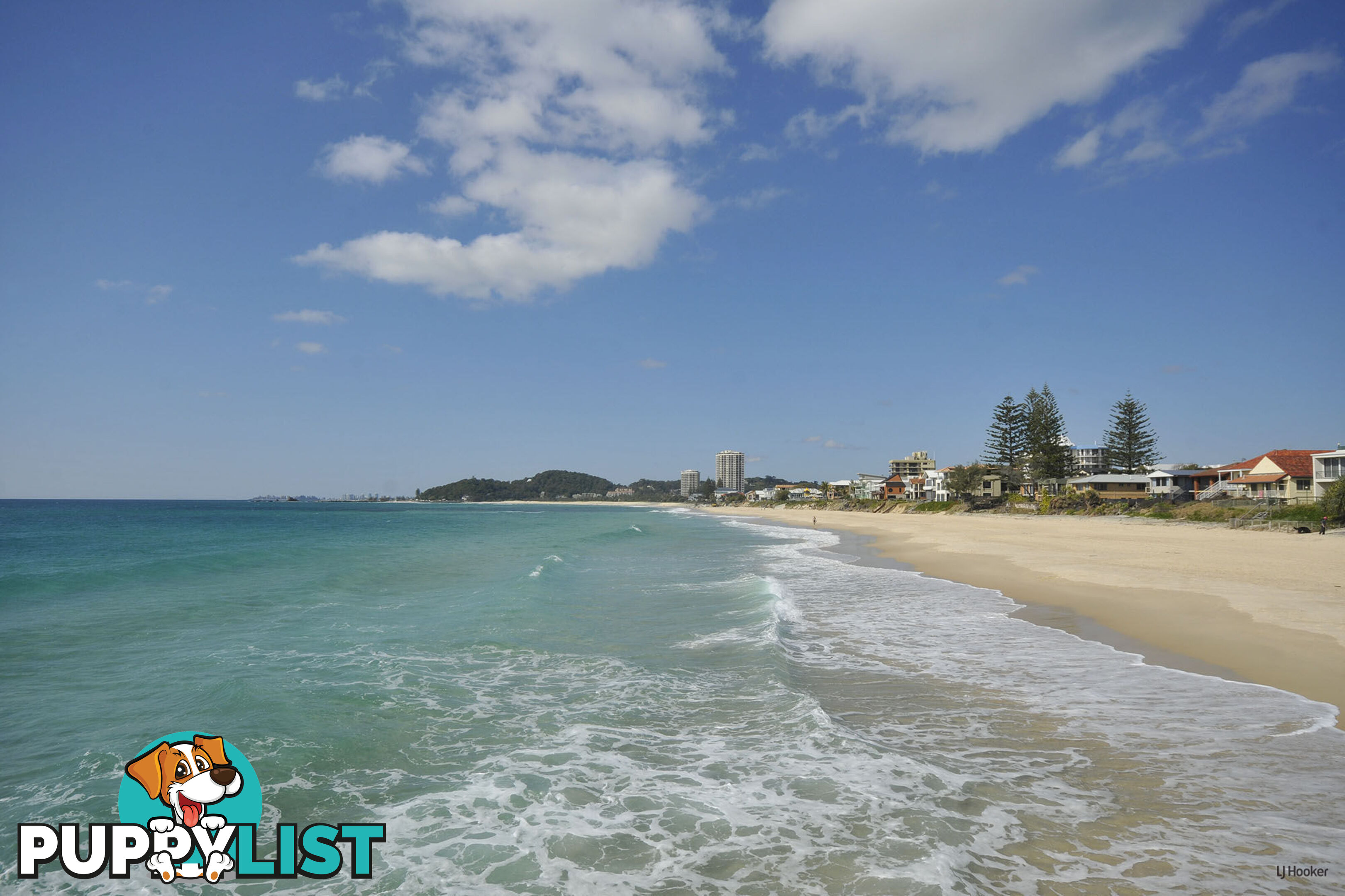 6/1396 Gold Coast Highway PALM BEACH QLD 4221