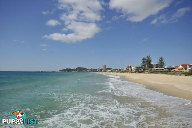 6/1396 Gold Coast Highway PALM BEACH QLD 4221