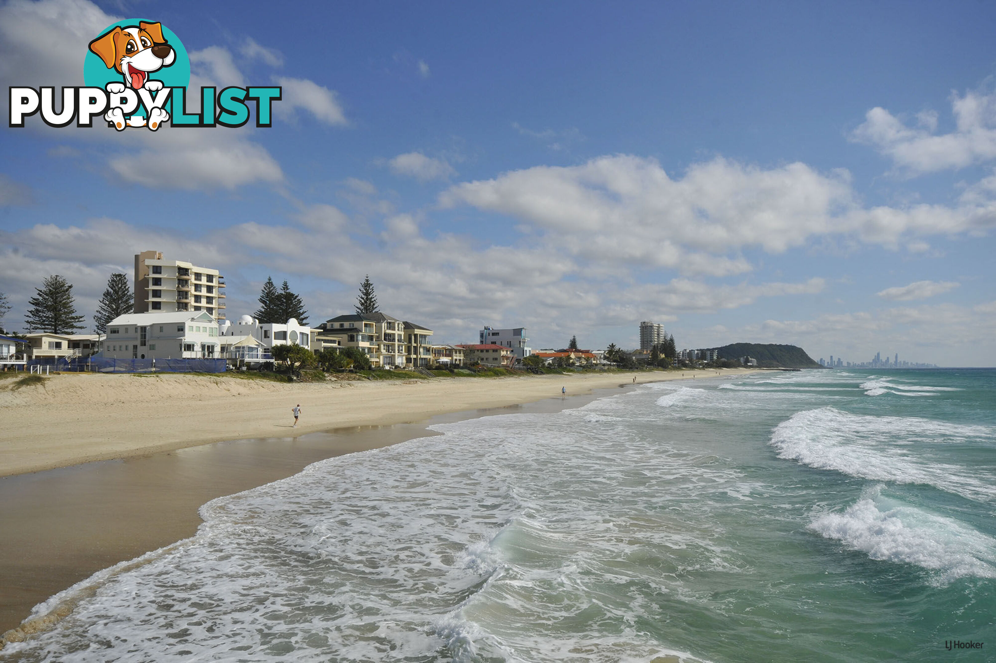 6/1396 Gold Coast Highway PALM BEACH QLD 4221