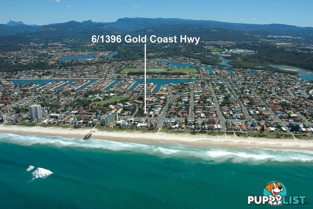 6/1396 Gold Coast Highway PALM BEACH QLD 4221