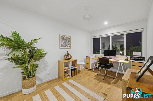 95B Palm Beach Avenue PALM BEACH QLD 4221