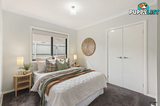 33 Sapphire Place ELANORA QLD 4221