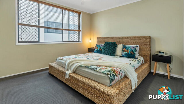 7/1031 Gold Coast Highway PALM BEACH QLD 4221