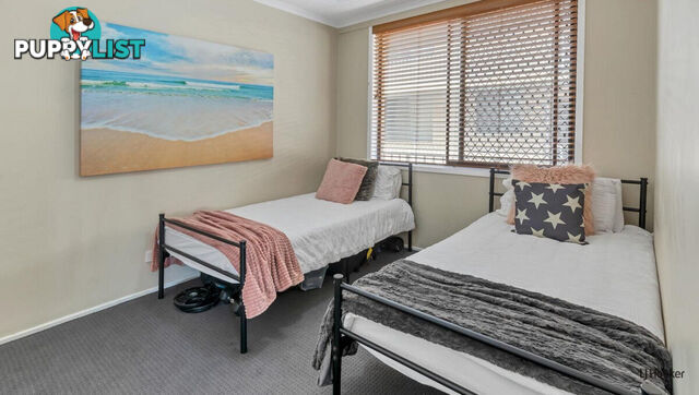 7/1031 Gold Coast Highway PALM BEACH QLD 4221