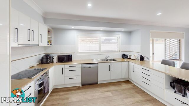 43 Saffron Street ELANORA QLD 4221