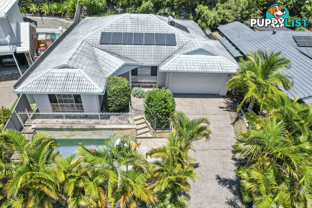 43 Saffron Street ELANORA QLD 4221