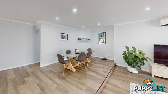 43 Saffron Street ELANORA QLD 4221