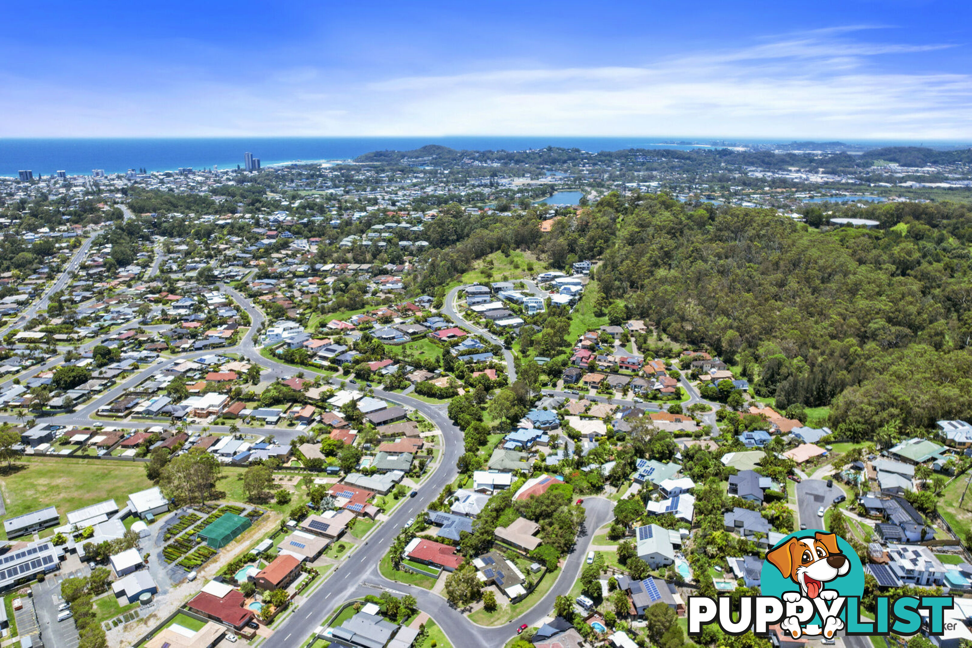 43 Saffron Street ELANORA QLD 4221