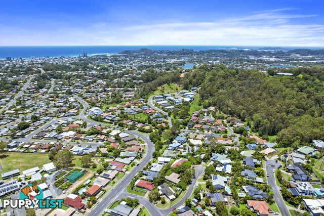 43 Saffron Street ELANORA QLD 4221