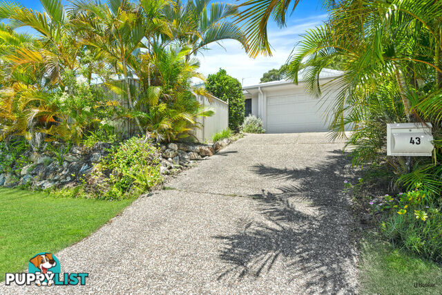 43 Saffron Street ELANORA QLD 4221