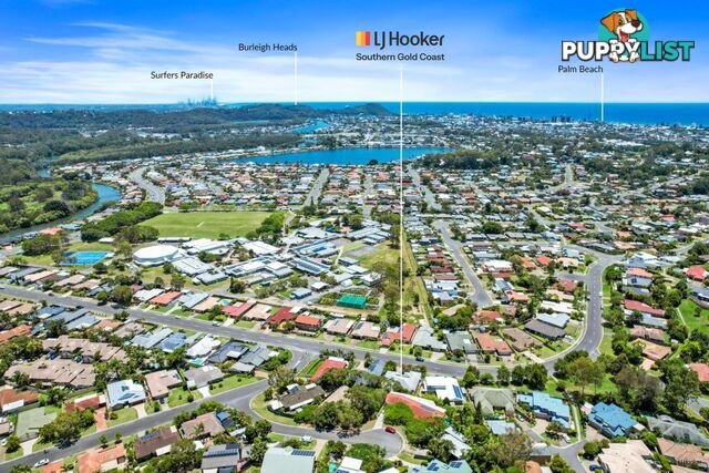 43 Saffron Street ELANORA QLD 4221
