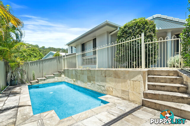 43 Saffron Street ELANORA QLD 4221