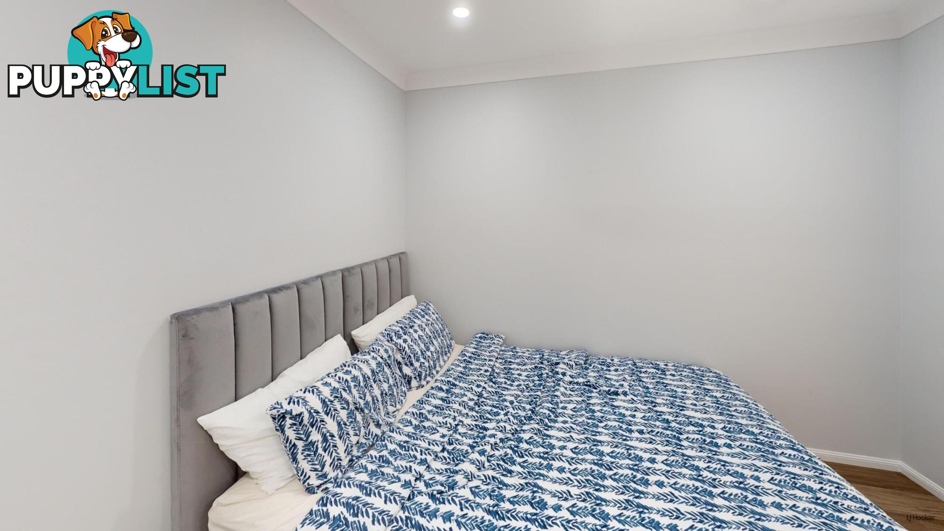 43 Saffron Street ELANORA QLD 4221