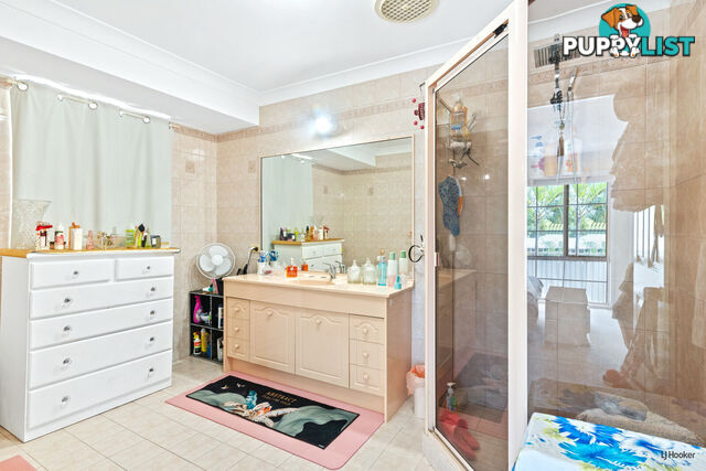 43 Saffron Street ELANORA QLD 4221