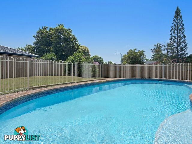 1 Cassia Court PALM BEACH QLD 4221