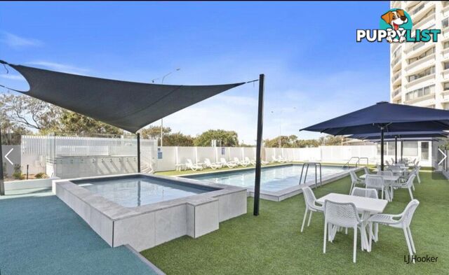 34/114 The Esplanade SURFERS PARADISE QLD 4217