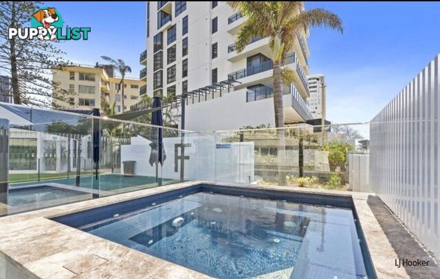 34/114 The Esplanade SURFERS PARADISE QLD 4217
