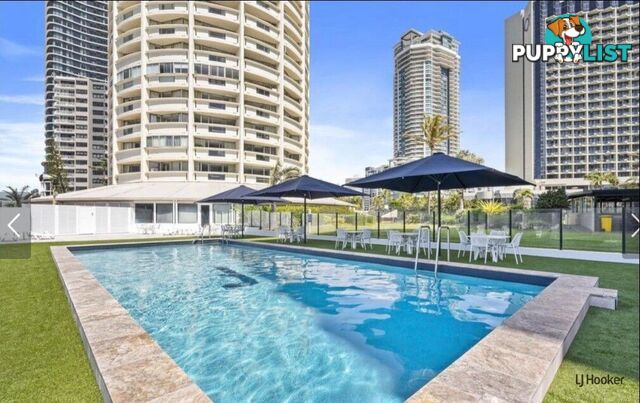 34/114 The Esplanade SURFERS PARADISE QLD 4217