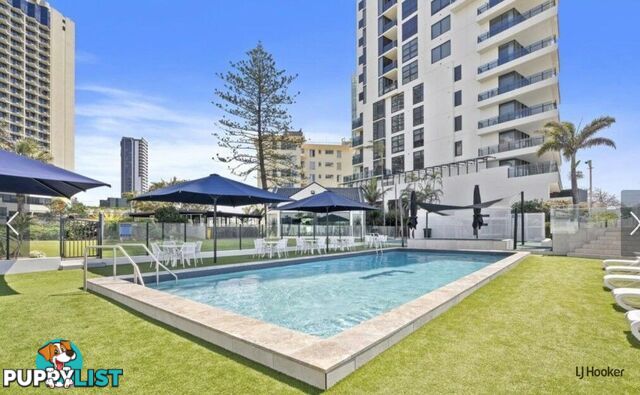 34/114 The Esplanade SURFERS PARADISE QLD 4217