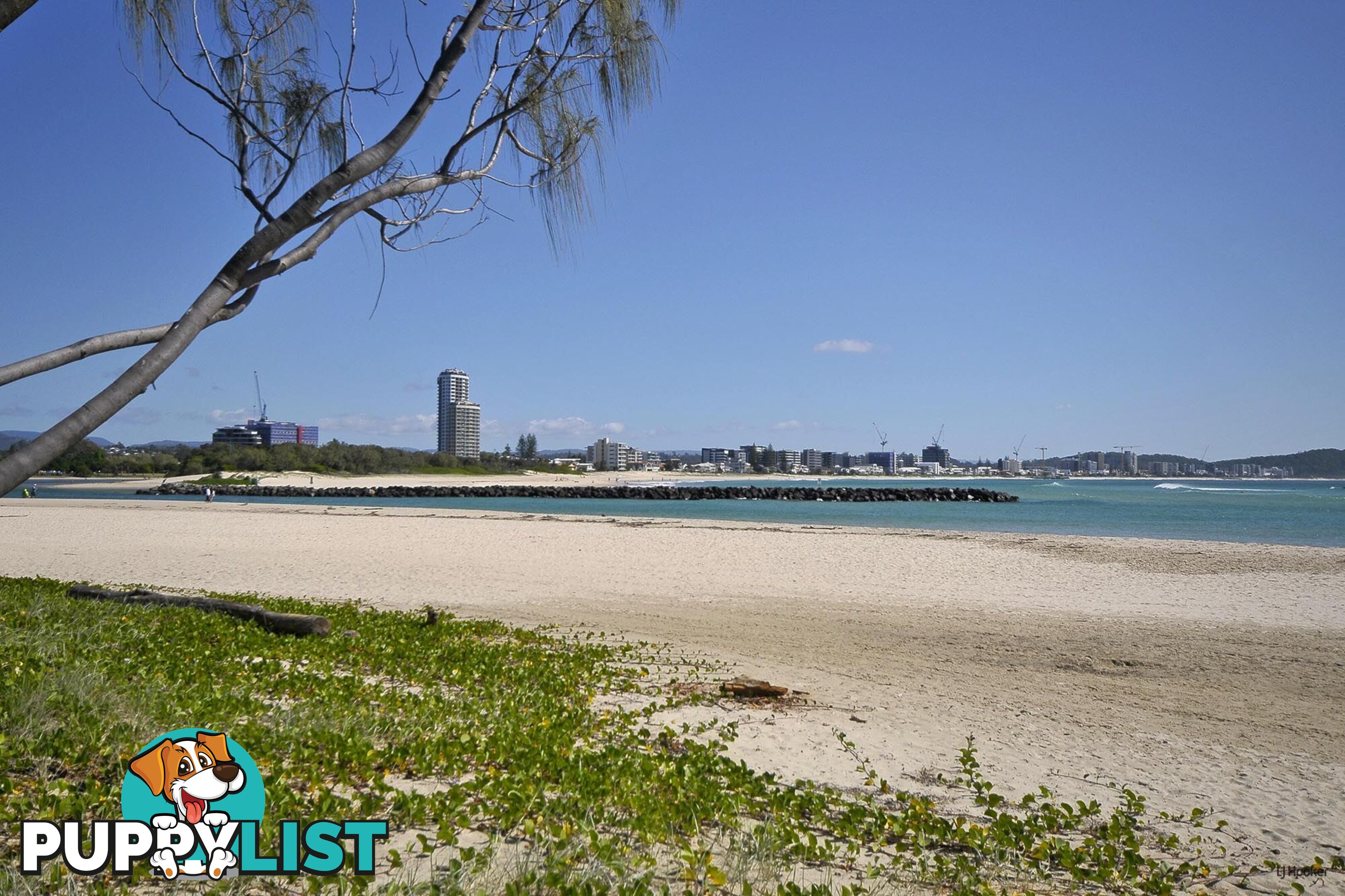 42/38-42 Duringan Street CURRUMBIN QLD 4223